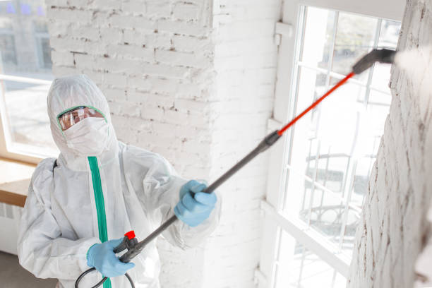 Best Air Quality Testing for Mold Spores  in Clyde, TX