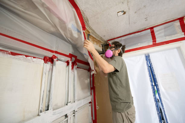 Best Airborne Mold Testing  in Clyde, TX