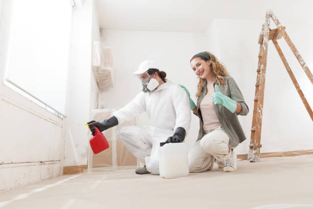Best Mold Remediation for Healthcare Facilities  in Clyde, TX